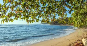 Costa Rica Adventure Travel: Your Ultimate Guide to Thrilling Experiences